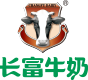 bob多特蒙德