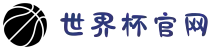 2026世界杯官网 - 从揭幕战的期待,到捧杯夜的哽咽